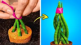 Amazing Gardening Hacks And Cool Ideas For Growing Plants