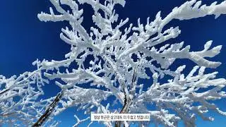 20230116 북한산 상고대-산이 보여 주는 아름다움의 극치