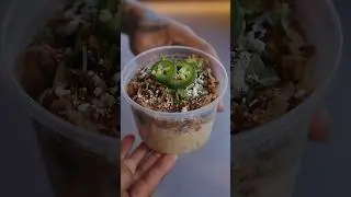 Chopped Pork Esquites 🌽 #pulledpork #esquites #mexicanstreetcorn #streetcorn  #tftibbq #bbqfood