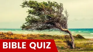 20 GENERAL BIBLE QUESTIONS ✝️