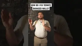 HOW DO I FIX TERMITE DAMAGED WALLS? TAMPA GENERAL CONTRACTOR ANSWERS!