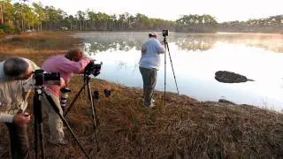 Everglades Nat'l Park Photography Workshop.wmv
