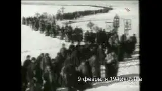 НИКОЛАЙ ЧЕРКАСОВ О ПОНЫРЯХ