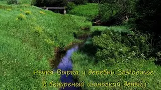 Речка Вырка у деревни Замостье, в ветреный июньский денёк:)