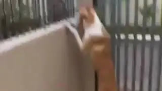 Друг помоги