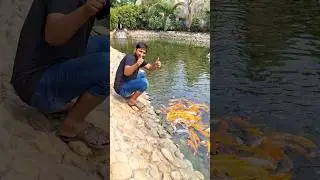 Shopnopuri fish world #shorts