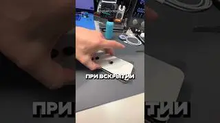 I bought an IPHONE, and there was a SURPRISE inside!