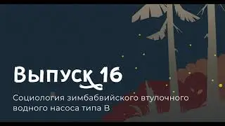 Аннмари Мол и Марианна Де Лаэт, Социология зимбабвийского втулочного водного насоса типа B