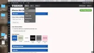 Thesis Options Api