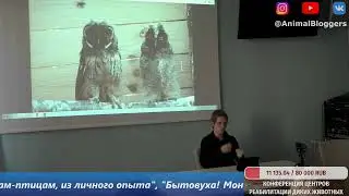 2020-2 Конференция Центров реабилитации диких животных День 2