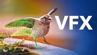 VFX AD | Singing Bird Through Old Streets 🎶 🐦 🏛️ 🛤️