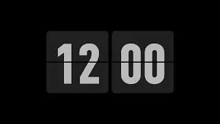 12 MİNUTE TİMER