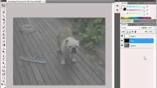 Photoshop Layer Shortcuts