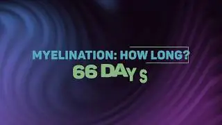Smooth Text Animation | Moving text animation
