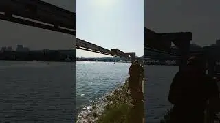 1 сентября 2024 г.