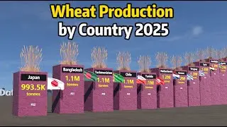 Wheat Production by Country 2025
