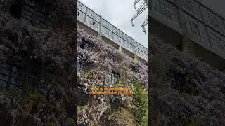 #психология #мышление