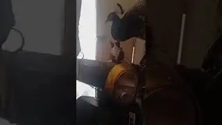 احترام قانون السير واجب على كل مواطن في أي بلد.