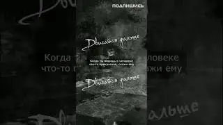 Прекрасные цитаты на каждый день │ Мотивация #shorts #цитаты #мудрость #мотивация