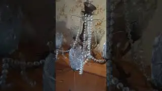 26 августа 2024 г.