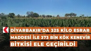 Diyarbakır’da 325 kilogram esrar maddesi ile 373 bin kök kenevir bitkisi ele geçirildi