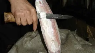 Do parasites in fish die when frozen? How can I kill parasites in fish?