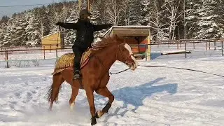 Без рук на лошади