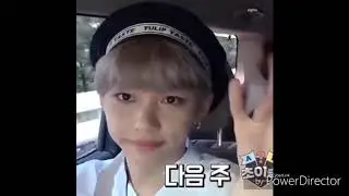 Felix vs his Voice
