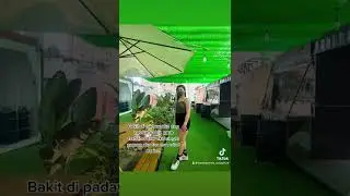 Testing