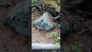 Байкальская тропа. Рес. Бурятия-2019