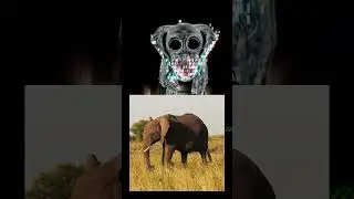 Zoonomaly vs Real Animals 