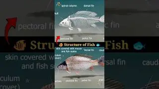 🐠Structure of Fish 🐟  #shorts #anatomy #science #biology #animation