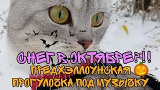 ВЫПАЛ СНЕГ В ОКТЯБРЕ!?!!!|хэллоуинская прогулочка под музычку🎃👻 happy Halloween