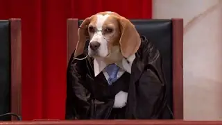 Lee v. United States: Oral Argument - March 28, 2017