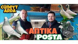 ANTİKA POSTALAR - CÜNEYT ARDA