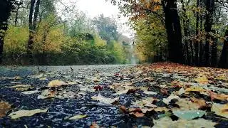 Relaxing Sleep Music   Rain Sound   Meditation Music 1
