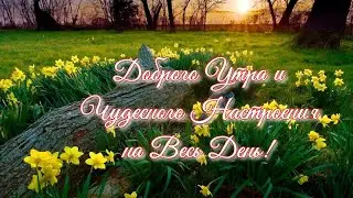 🌸Доброго Вам Утра!🌸 Пусть Настроение Будет Прекрасным!🌸