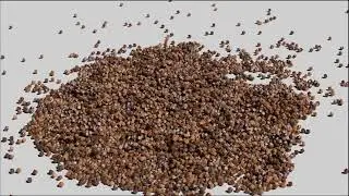 Molecular Simulation 2