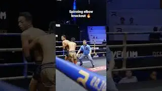 Spinning elbow knockout 🔥