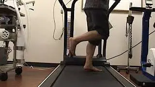 Inolved Cheeptip Sagital