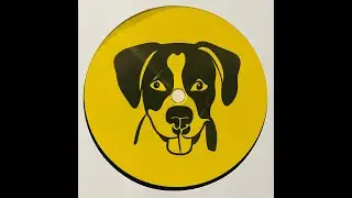 SISTO - FREE YOUR MIND [HAUSTIERE01]