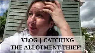 VLOG | CATCHING THE ALLOTMENT THIEF!