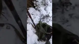 Открытие промысла соболя 2021-2022. Удачно!