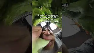 Перекус 