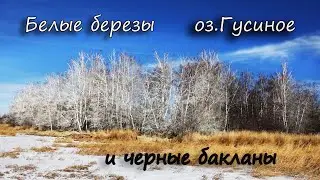 Забайкальский край. Озеро Шакша и озеро Гусиное.