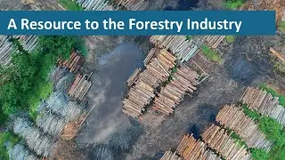 Interface | A Resource to the Forestry Industry