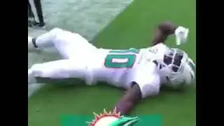 Tyreek hill falling in love with the ref