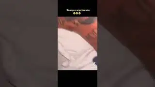 конор макгрегор и мороженое