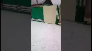 14.04.2023 Опять метель❄️☃️
