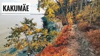 Пешком с велосипедом по золотой осени.